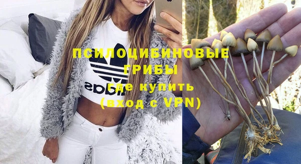 МДМА Алексеевка