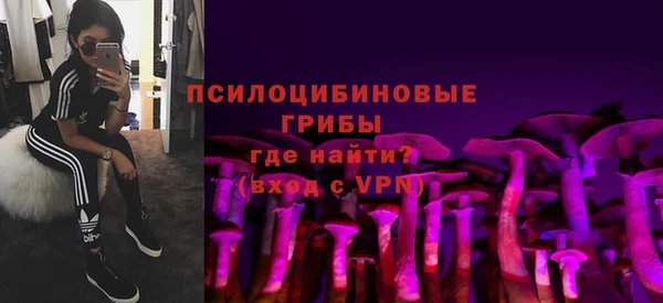 хмурый Алзамай