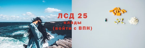 хмурый Алзамай